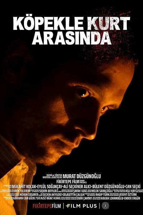 Between Dog and Wolf